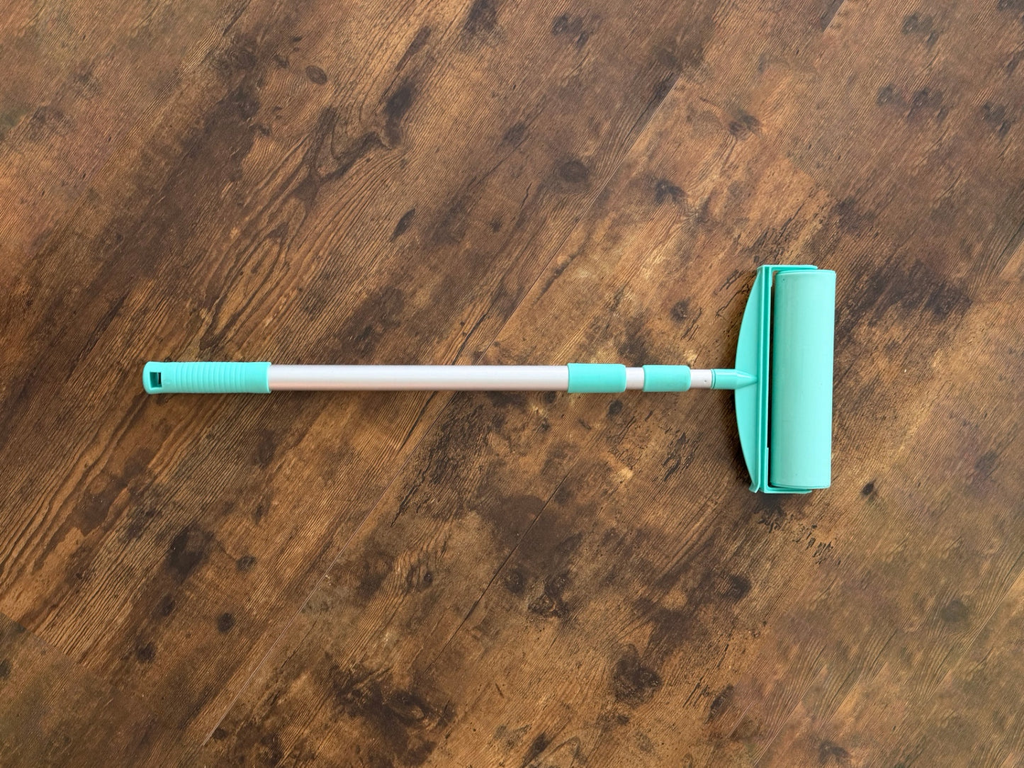House & Floor Roller