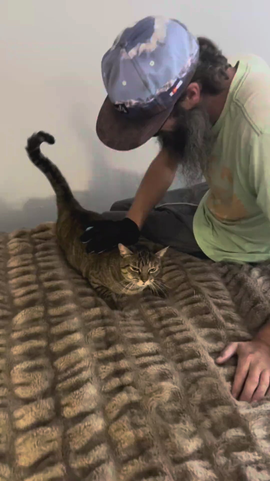 A man brushing and grooming a purring cat with the pet mitt